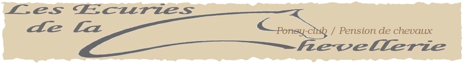 Poney-club / Pension de chevaux